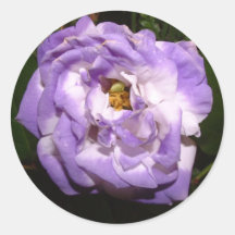 Purple Flowers Round Sticker