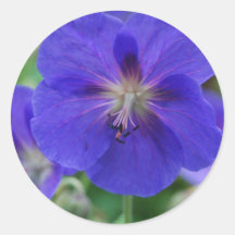 purple flowers round stickers