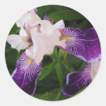 Purple Flowers Stickers