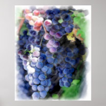 Purple Grapes Posters