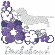 Purple Hibiscus Dachshund