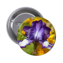 Purple Iris Button