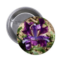 Purple Iris Buttons