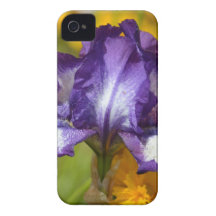 Purple Iris Case-Mate iPhone 4 Cases