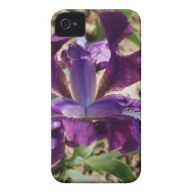 Purple Iris iPhone 4 Case-Mate Case