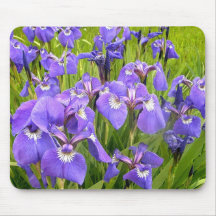 Purple Iris Mouse Pads