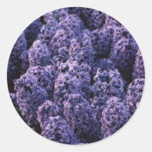 Purple Lilacs Round Sticker