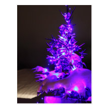 Purple lit Christmas tree Post Cards