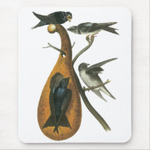 Purple Martin, John Audobon Mouse Mats