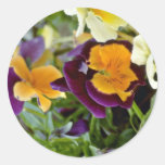 Purple Pansy With Orange Centre flowers Stickers