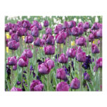 Purple Paradise Tulips Personalized Invites