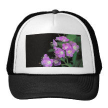 purple phacelia trucker hats