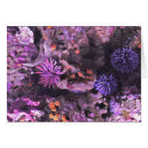 Purple Plush Card