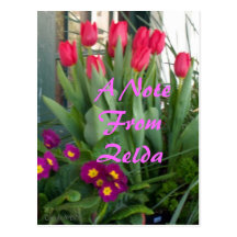Purple Primroses Red Tulips Post Cards