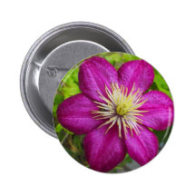 Purple Red Flower In The Grass Pinback Buttons