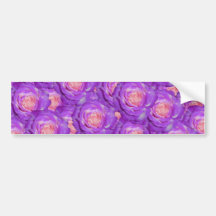Purple roses bumper sticker