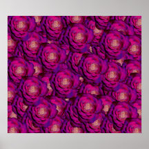 Purple roses poster