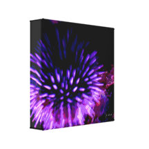 Purple Sea Urchin Gallery Wrap Canvas
