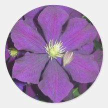 Purple Smile Sticker