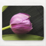 Purple tulip mouse mat
