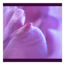 Purple Tulip Petal Flower Wedding Invitation