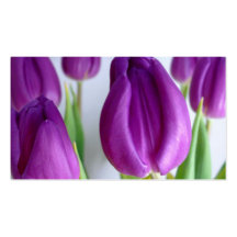 Purple Tulips Business Card Templates