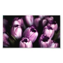 Purple Tulips Photo Art
