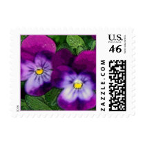 Purple Violet Flower Postage stamps