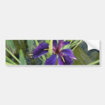 Purple Water Iris Bumper Sticker