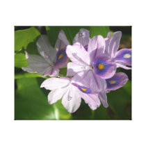 purple white flowers with eyes canvas prints