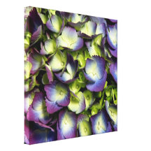 Purple & Yellow Hydrangeas Wrapped Canvas Print