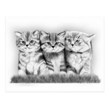 Pussy Cats Post Cards