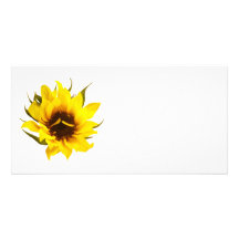 Puzzled Sunflower Photo Greeting Card