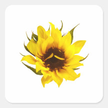 Puzzled Sunflower Square Sticker