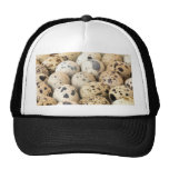 Quail Eggs Mesh Hats