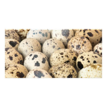 Quail Eggs Personalized Photo Card