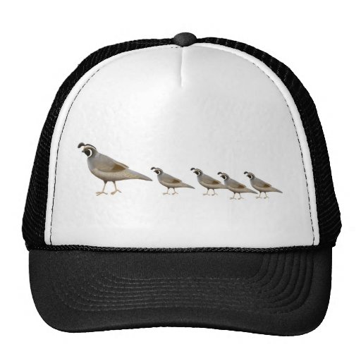 Quail Family Trucker Hat