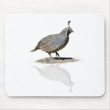 QUAIL REFLECTED MOUSE PADS