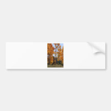Quaking Aspen Cedar Breaks Utah Bumper Sticker