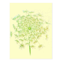 Queen Anne's Lace Gifts and Favours Postcard