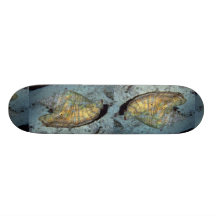 Queen conch (Strombus gigas) Shell Custom Skate Board