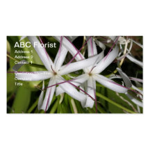 Queen Emma Lily Business Cards