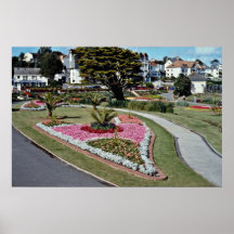 Queen Mary Gardens, Falmouth  flowers Poster