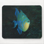 Queen Triggerfish mousepad