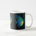 Queen Triggerfish mug