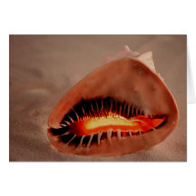 Queens Helmet Greeting Card