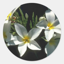 Queens In Nature Round Sticker