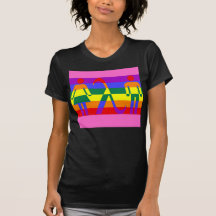 queer solidarity & liberation shirt