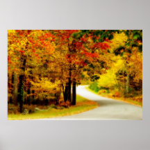 Quiet Country Lane in Autumn Poster