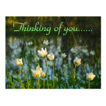 QUIET PLACE POST CARD